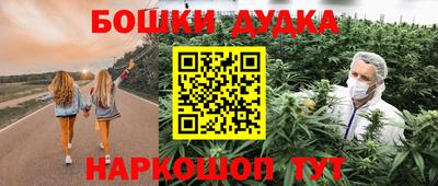 индика Краснознаменск