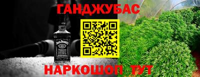 индика Краснознаменск