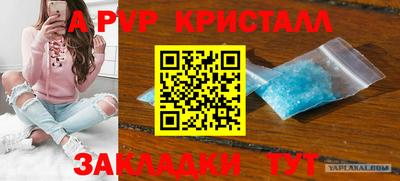индика Краснознаменск