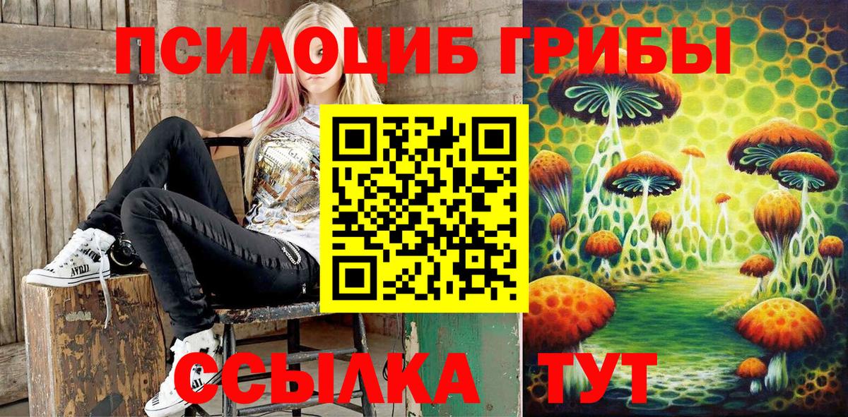 Галлюциногенные грибы MAGIC MUSHROOMS  Вход с VPN  Ивантеевка 