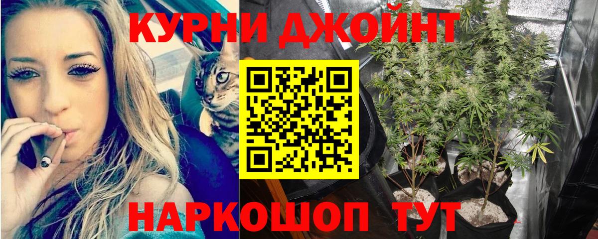 Ивантеевка  Бошки марихуана MAZAR  Вход с VPN  Каннабис SATIVA & INDICA 
